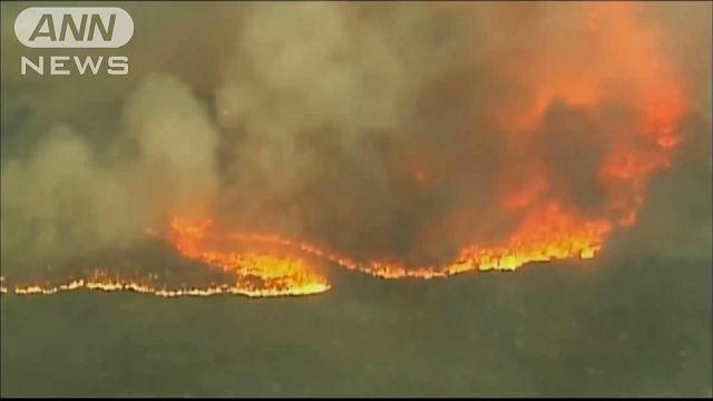 大規模山火事で消防隊員19人死亡　米・アリゾナ州