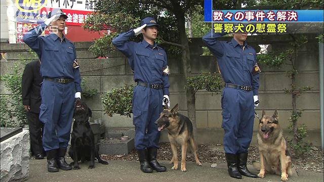 機動隊や警察犬が一堂に 警視庁部隊出動式 テレ朝news テレビ朝日のニュースサイト