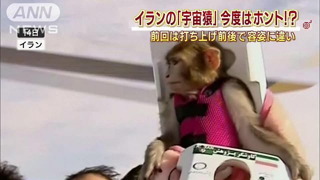 再び“生還”イランの宇宙猿　前回は容姿に違い