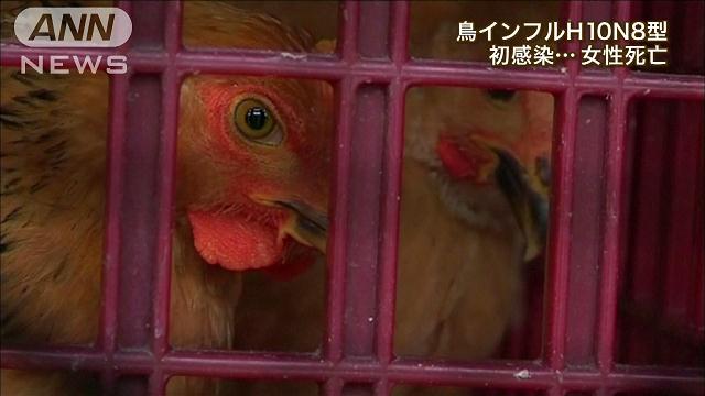 人への感染は初…「H10N8型」鳥インフルで女性死亡