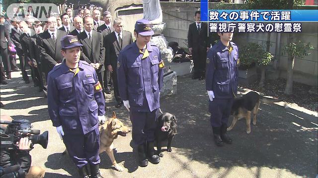 機動隊や警察犬が一堂に 警視庁部隊出動式 テレ朝news テレビ朝日のニュースサイト