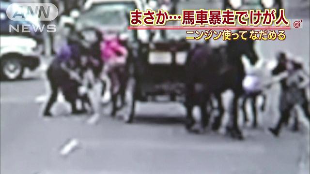 観光客を乗せた馬車が突然暴走！馬をなだめたのは…