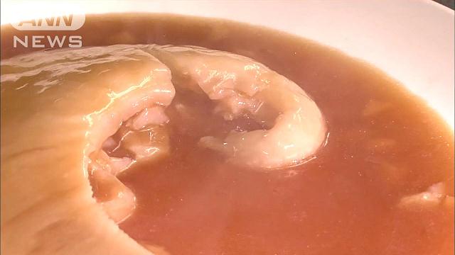 フカヒレを巡る騒動…困惑する気仙沼の漁師たち