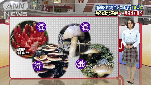 触るだけで炎症も…危険な“毒キノコ”の見分け方