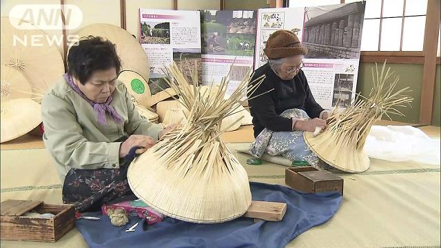 伝統の技「菅笠」作りがピーク 富山・高岡市