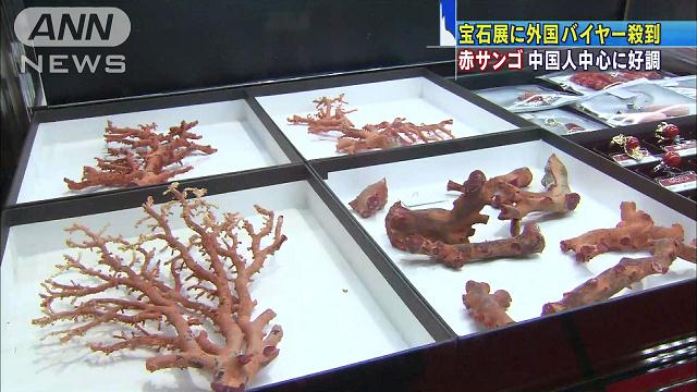 1622 外国 海外切手 中華民国 台湾 海洋生物 サンゴ ヒトデ 鱼类邮票日本邮票| eBay