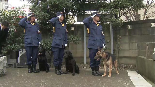 警視庁の一員として活躍 警察犬の慰霊祭 警視庁の一員として活躍 警察犬の慰霊祭