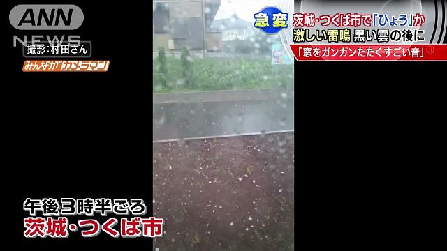 希少 気象 天然の雹 ひょう 千葉・茨城産 落ちたてホヤホヤ厳選