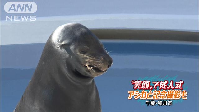 満面の笑みでニッ アシカのカンジ君が新成人を祝福 テレ朝news テレビ朝日のニュースサイト