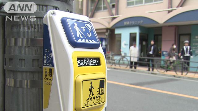 信号機 本物 押しボタン 信号機 歩行者 横断 押ボタン