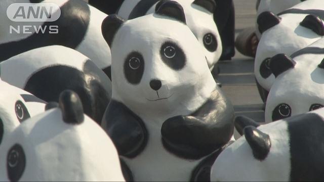 パンダがバンコク王宮前を占拠 生息推定数1600匹