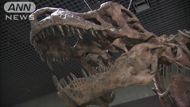 上野で「新種の恐竜の化石」が見つかるかも…