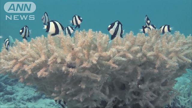 逃げる兵・サンゴ礁の碑。サンゴ礁のいしぶみ。 硫黄島防備の歌