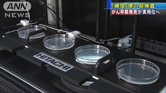 尿検査でがん当日発見 線虫 使い3年後実用化へ テレ朝news テレビ朝日のニュースサイト