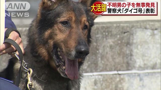 警察犬が心臓マッサージ あまりの可愛さに人気沸騰 テレ朝news テレビ朝日のニュースサイト