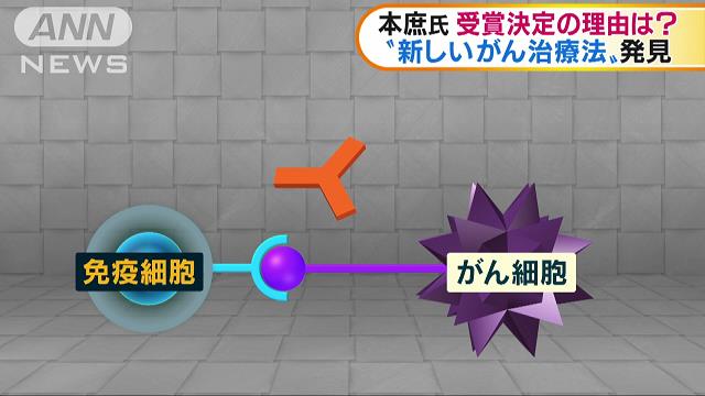 本庶氏の受賞決定理由は？　新しいがん治療法発見