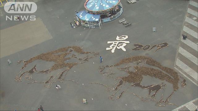 丘一面に咲く「ネモフィラ」 青い空と青いじゅうたん