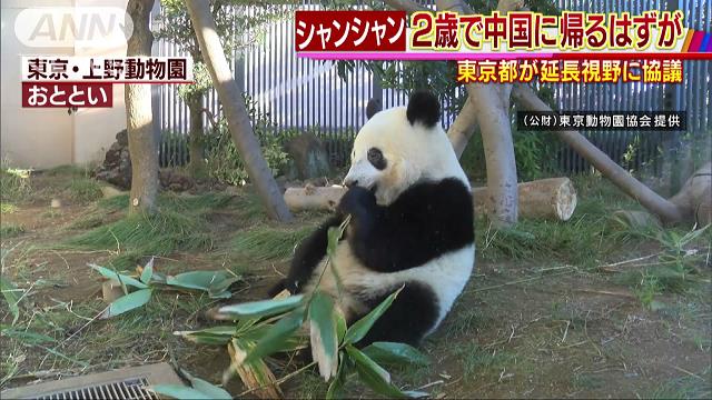 シャンシャン“滞在延長”も視野 都と中国が協議へ