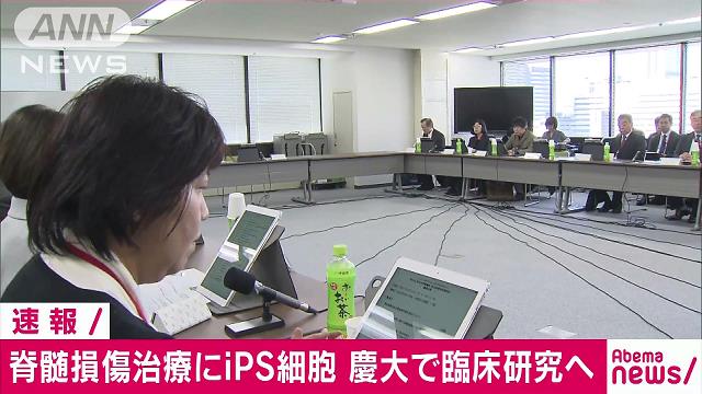 Ips細胞で脊髄損傷を治療へ 慶応大の臨床計画了承 テレ朝news テレビ朝日のニュースサイト