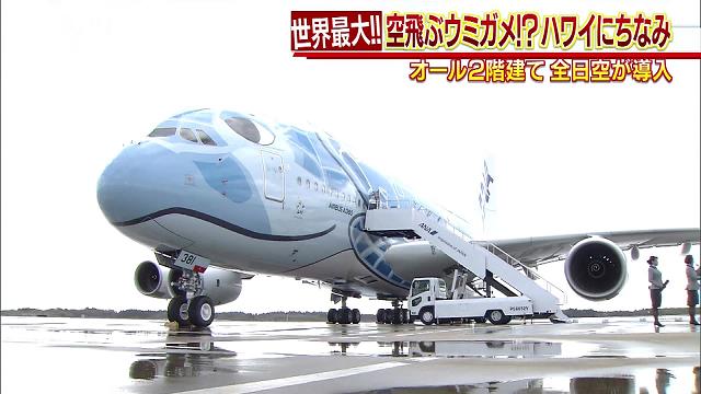 飛行機之實地設計 金井武一 日本飛行研究会發行 大正五年十月十日發行再版 世界最大の“ウミガメ”飛来！日本の航空会社では初