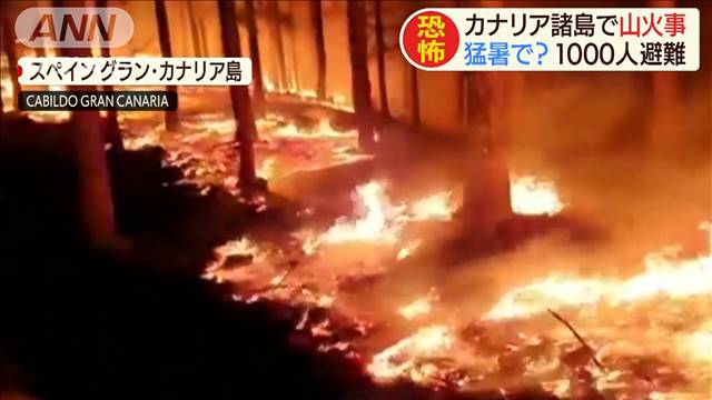 炎が覆い尽くし カナリア諸島で山火事 1000人避難