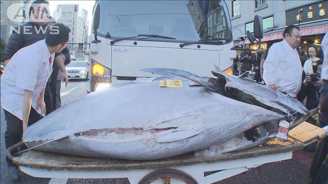 豊洲 初 競り 2020