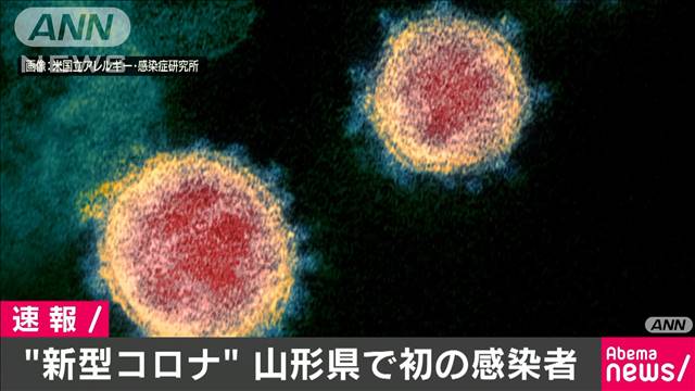山形県で初めて新型コロナ感染者を確認 テレ朝news テレビ朝日のニュースサイト
