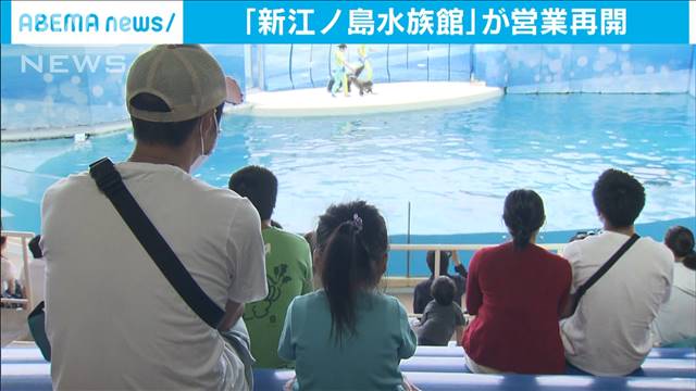 新江ノ島水族館が再開 イルカショーなど一部休止も テレ朝news テレビ朝日のニュースサイト