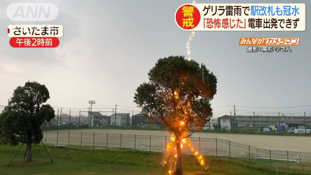 関東各地で“ゲリラ雷雨”木に激しい火花…停電も