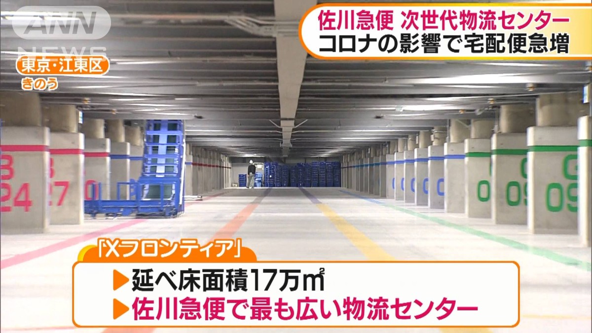 Y*u様 王冠竜 10号鉢 佐川急便発送代込 Y*u様 王冠竜 10号鉢 佐川急便発送代込 - メルカリ