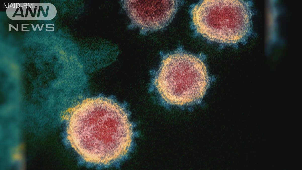 全国のコロナ新規感染3036人　午後9時現在