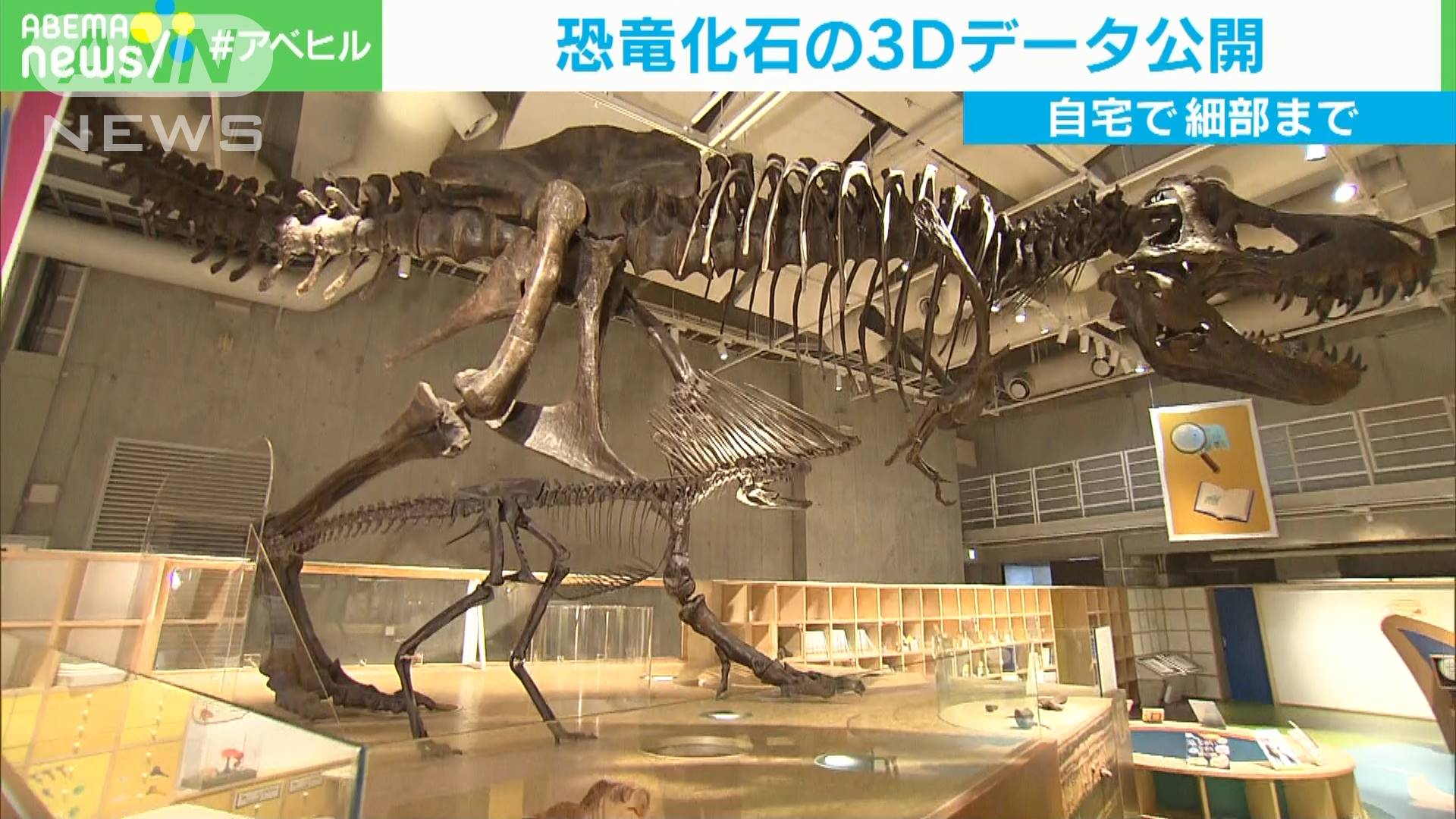 恐竜の化石をこんな角度からも 3dデータを公開 テレ朝news テレビ朝日のニュースサイト