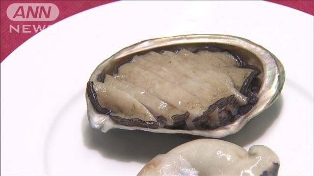 大林組がアワビ養殖に成功　水辺工事の技術を活用の画像