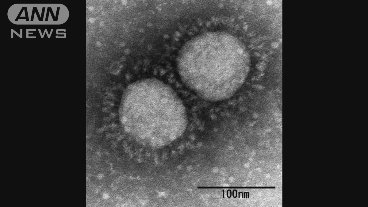 東京の50代女性　英変異ウイルス感染　市中感染疑い