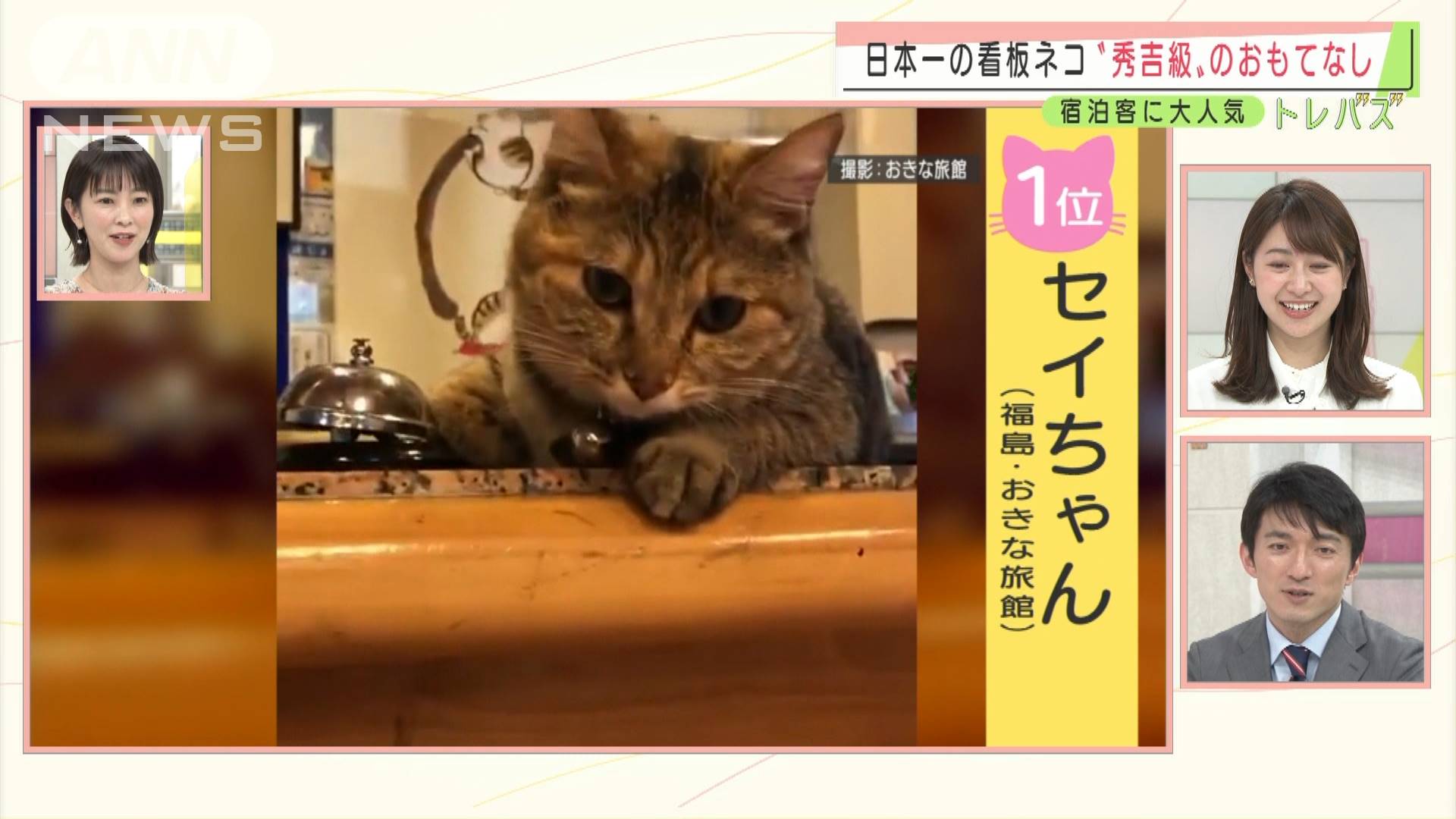 2月22日はネコの日 Snsを席巻 限定 御朱印 も テレ朝news テレビ朝日のニュースサイト