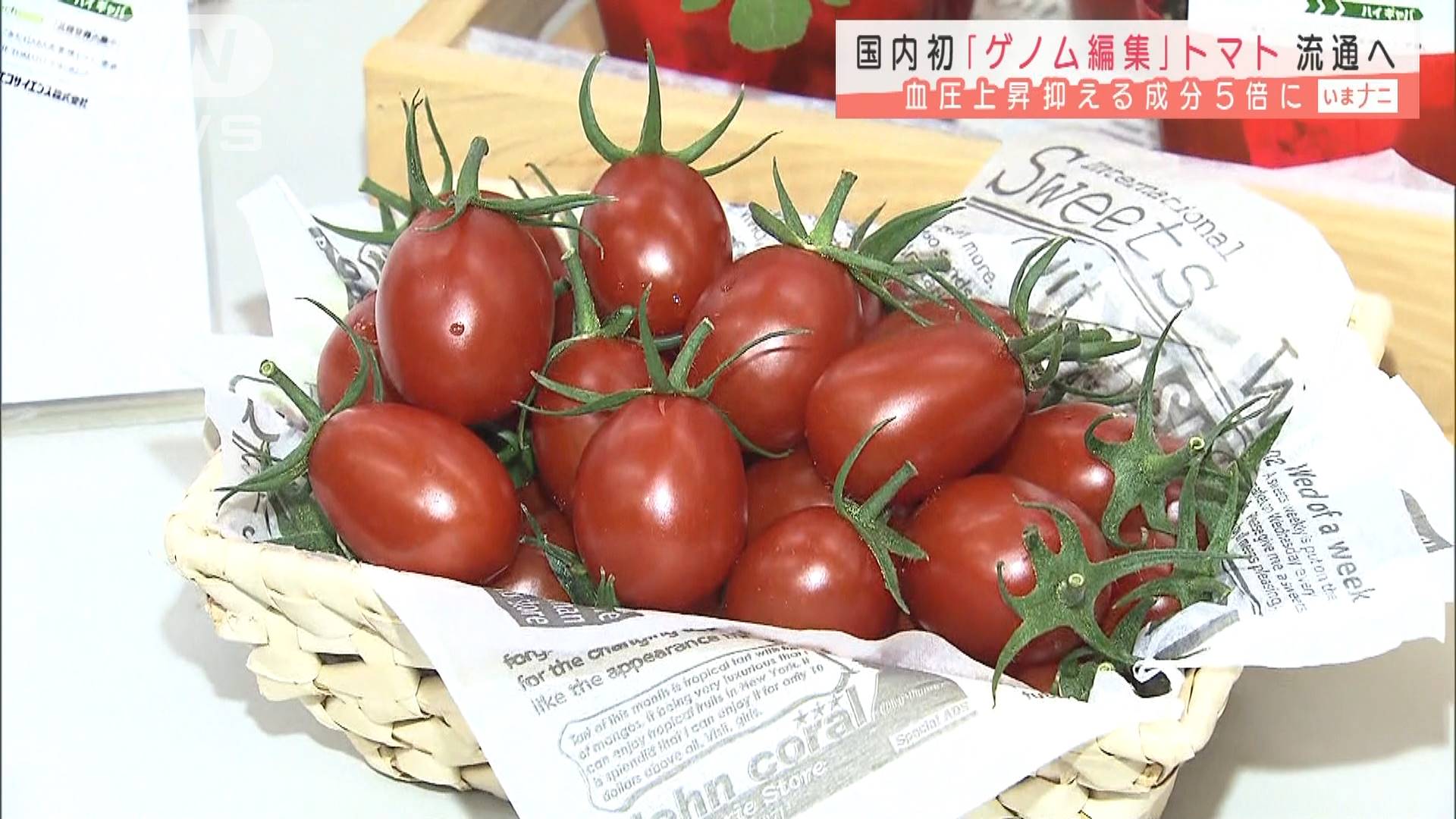 ゲノム編集 トマト 血圧上昇抑える成分5倍も テレ朝news テレビ朝日のニュースサイト