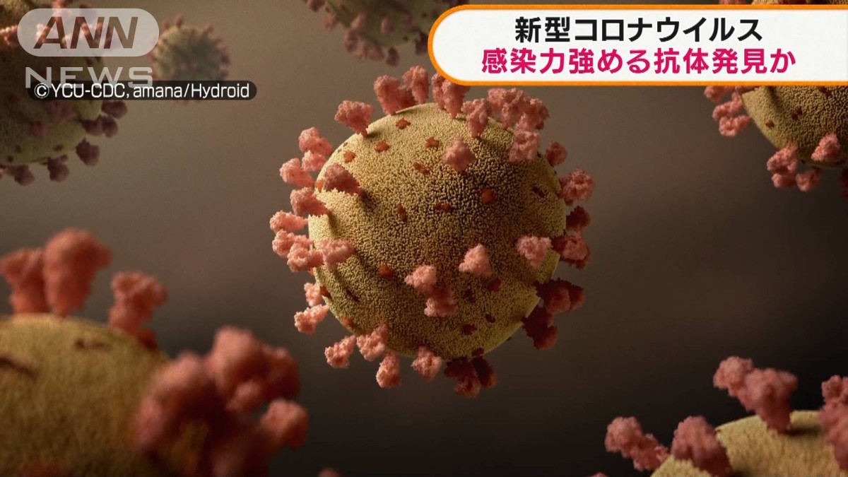 新型コロナ】感染“増強”抗体を世界初発見