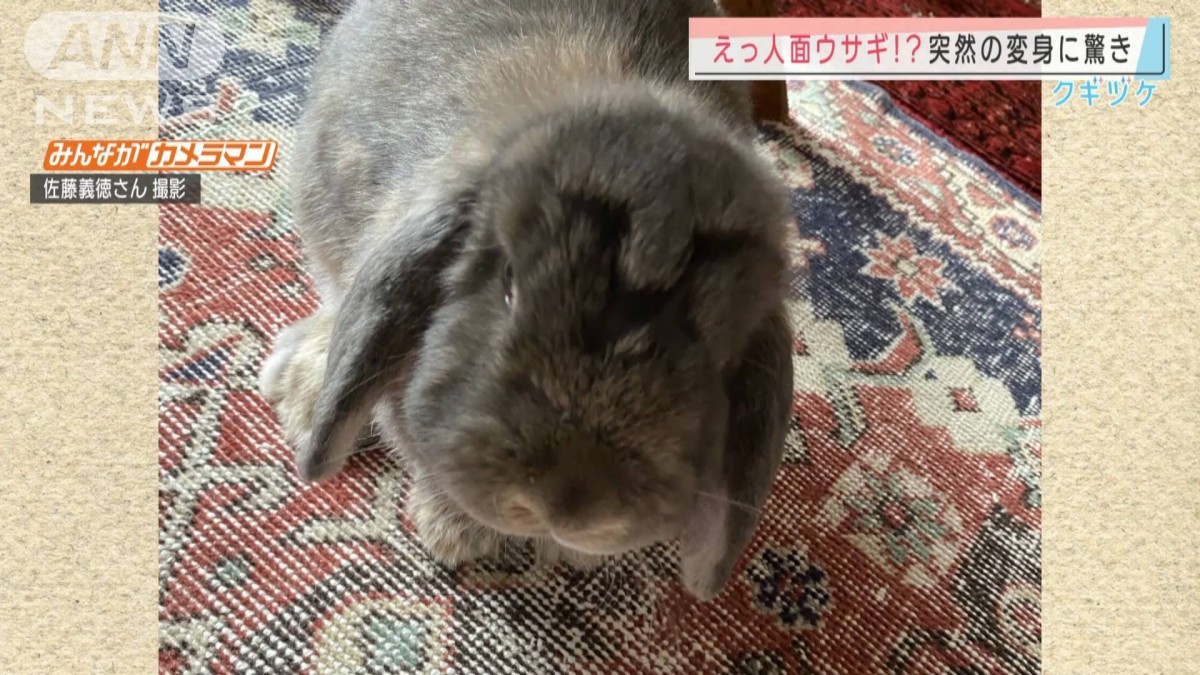 えっ…人面ウサギ！？ 突然の変身にビックリ