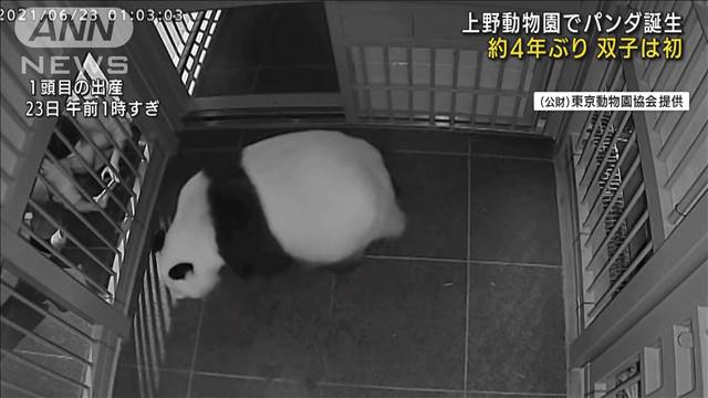 予報士のつぶやき パンダと台風 テレ朝news テレビ朝日のニュースサイト