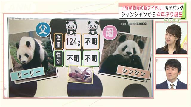 動物ニュース一覧 テレ朝news テレビ朝日のニュースサイト
