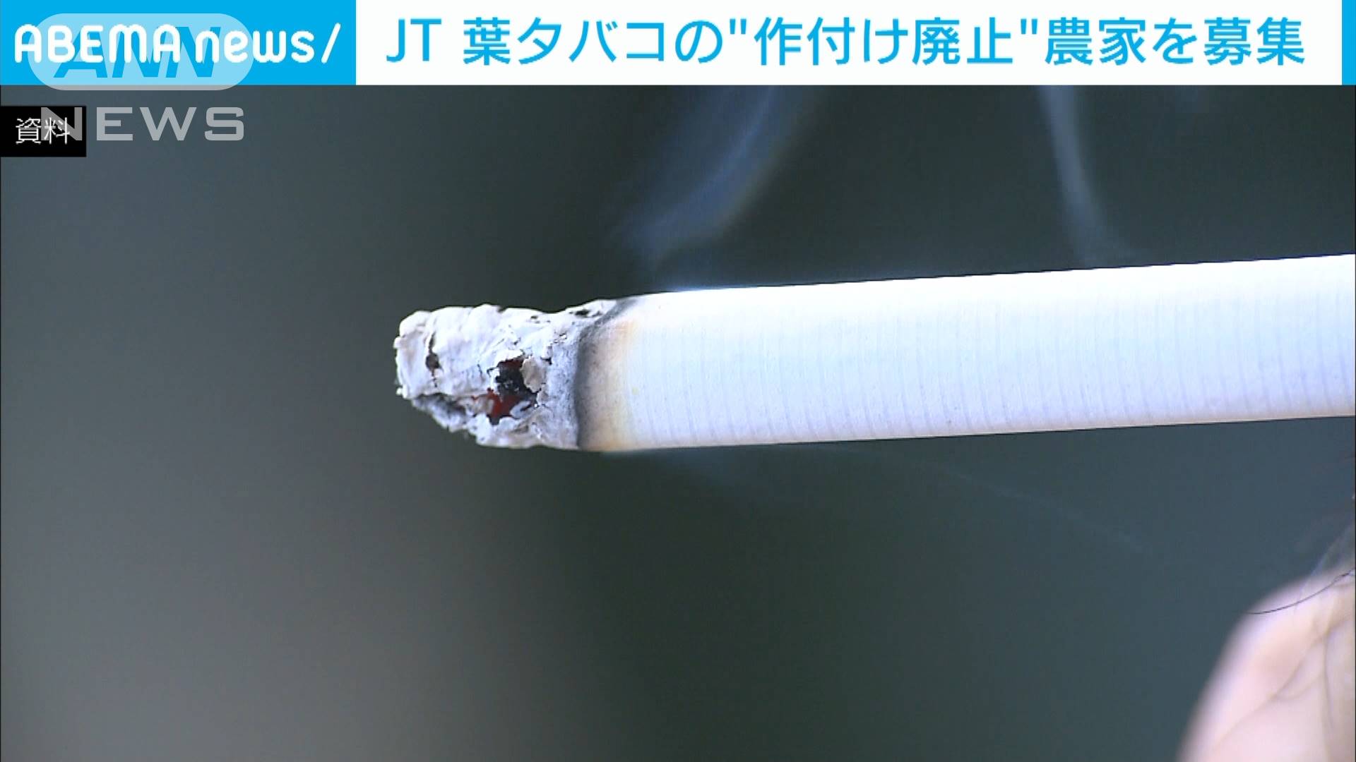 Jt たばこの作付け廃止農家を募集 需要減少などで