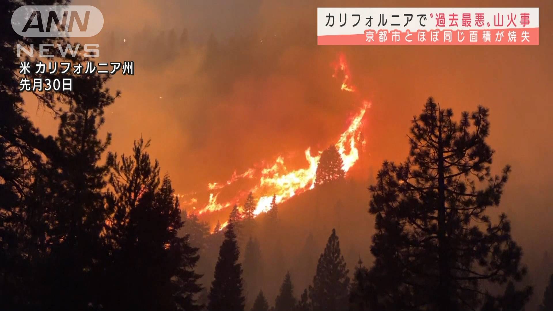 カリフォルニアの山火事 京都市とほぼ同じ面積焼失