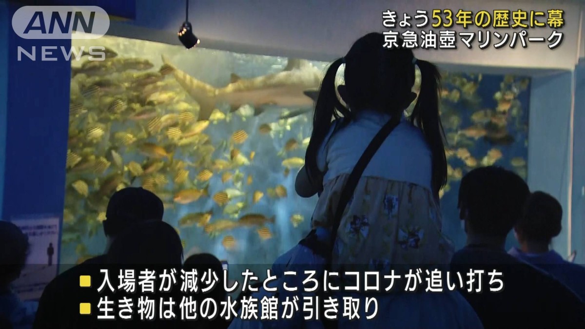 油壺マリンパーク閉館「目に焼き付けて帰りたい」
