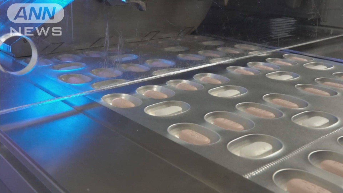 EU規制当局 ファイザーの飲み薬の承認を勧告