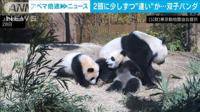 動物ニュース一覧 テレ朝news テレビ朝日のニュースサイト