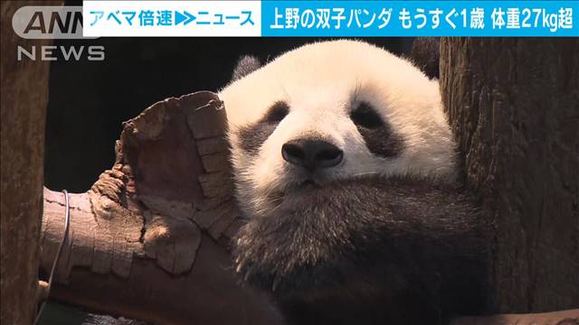 動物ニュース一覧 テレ朝news