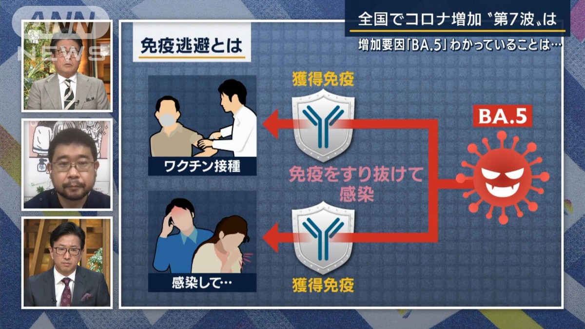 コロナ 同じ株 再感染