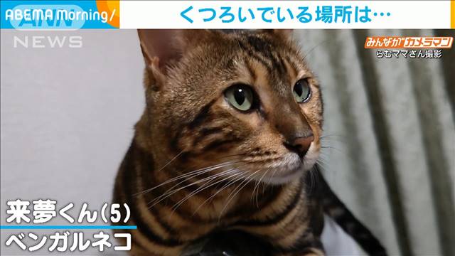くつろいでいる場所は くつろいでいる場所は