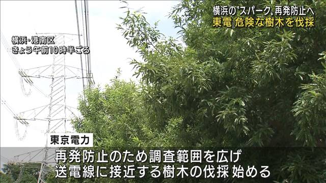東京電力「スパーク」再発防止へ 危険な樹木を伐採 2022年08月20日(土)