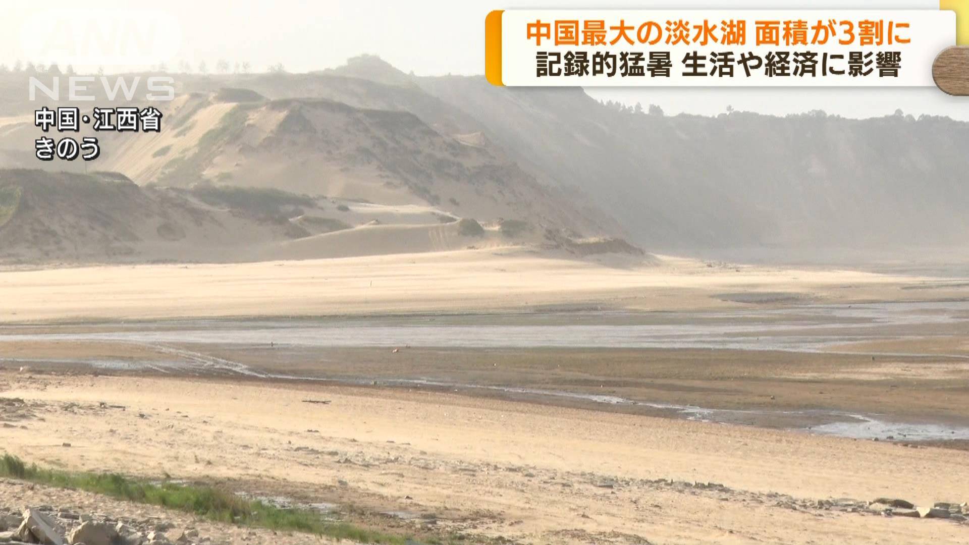 オレンジジュース危機：在庫不足、深刻な干ばつ、病気の蔓延がブラジルのオレンジの将来を脅かしている